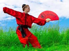 Японские боевые искусства